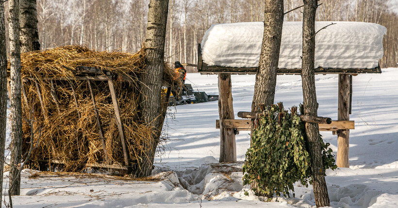В Новосибирской области 16 марта начнётся приём заявлений на весеннюю охоту