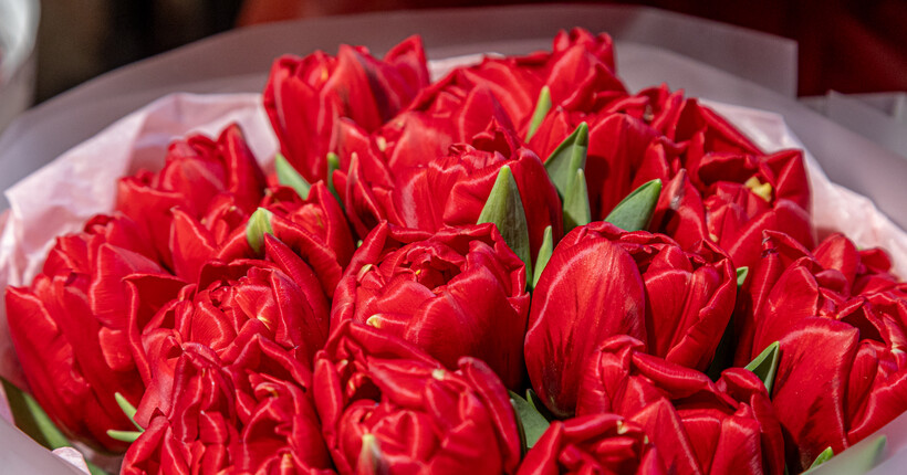 В Новосибирскую область перед 8 Марта ввезли 141 тонну цветов