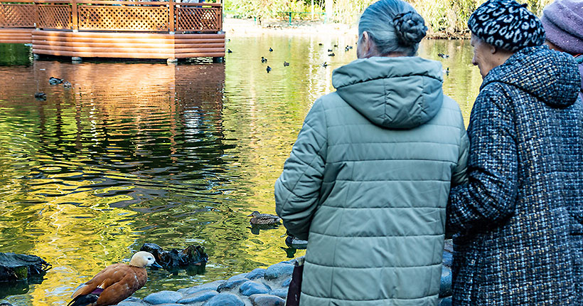 Кто в плюсе?