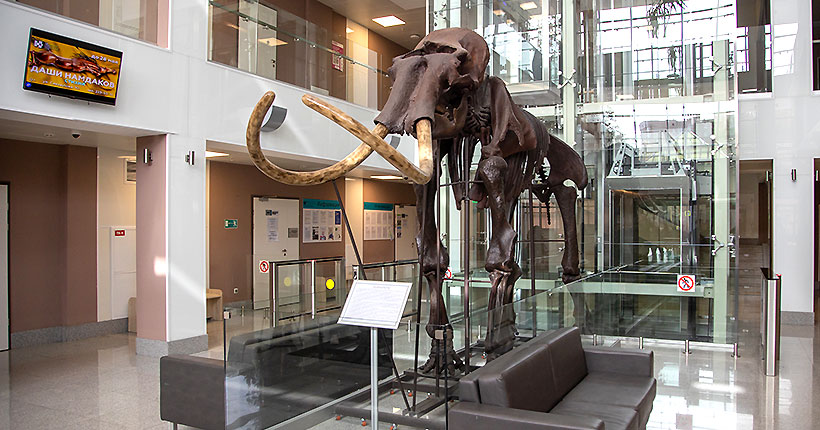 Популярно о сложном