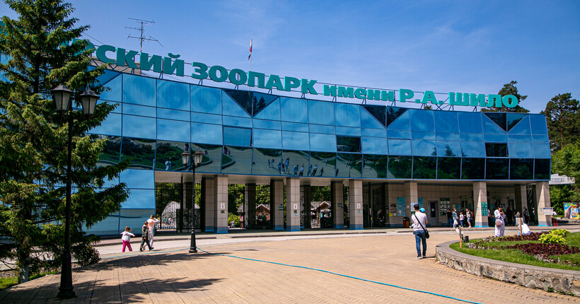 В Новосибирском зоопарке бурые медведи Валя и Лёха пробудились после зимней спячки