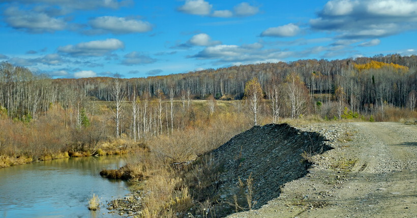 В Новосибирской области трое лесорубов нанесли ущерб на 55 млн рублей