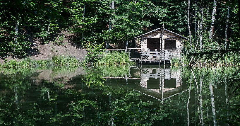 География с историей