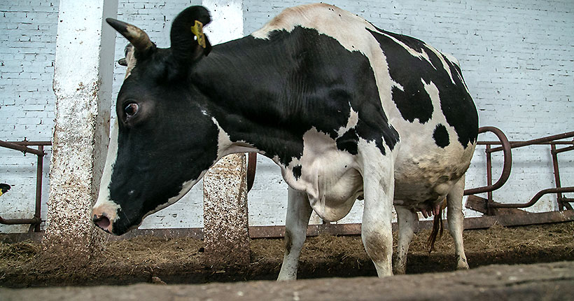 Помощь приходит