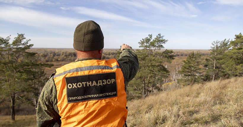 Охотникам Новосибирской области напомнили о запретах