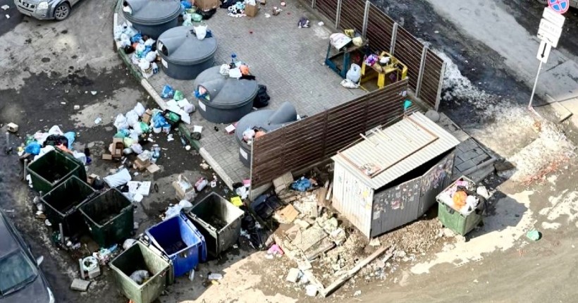 В Новосибирске центральная улица превратилась в рассадник для крыс