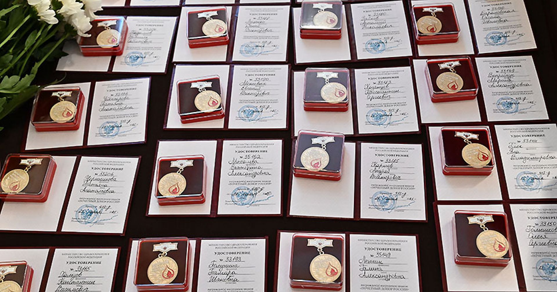 В Новосибирской области донорское движение выросло на 9000 человек