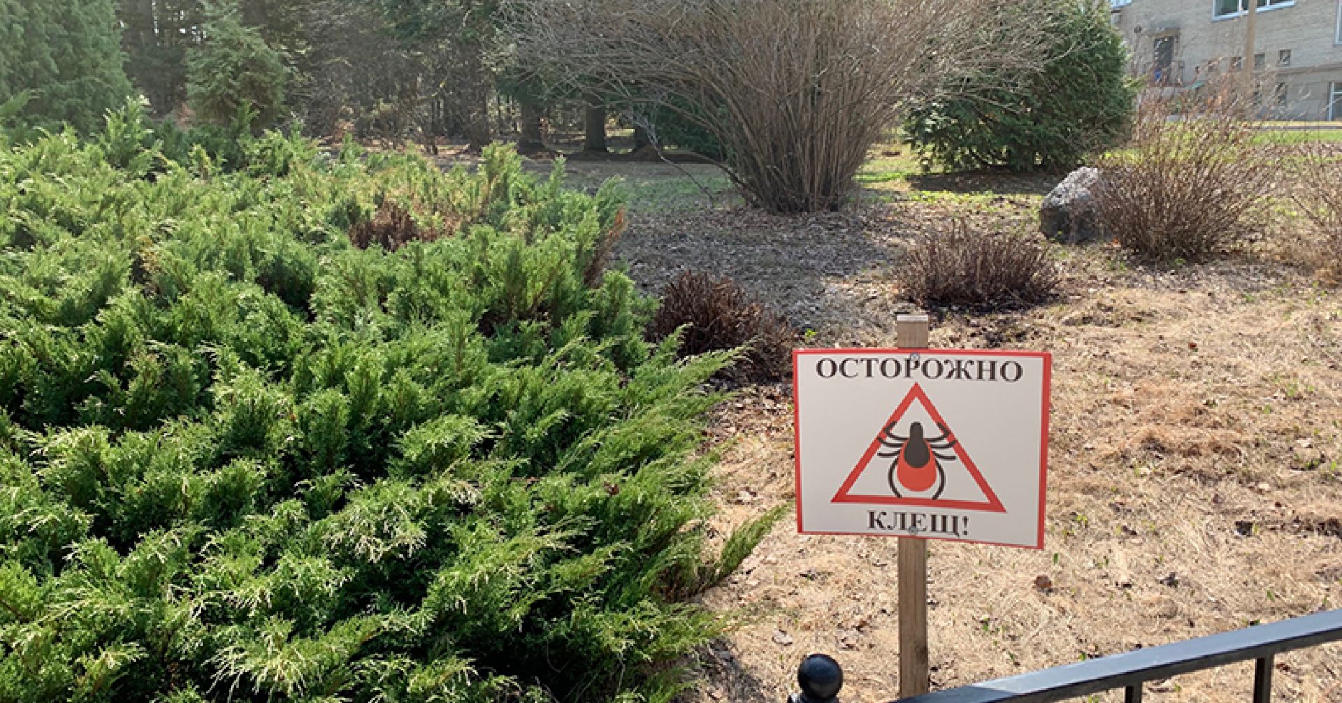 82 человека пожаловались на укусы: в Новосибирской области период повышенной активности клещей