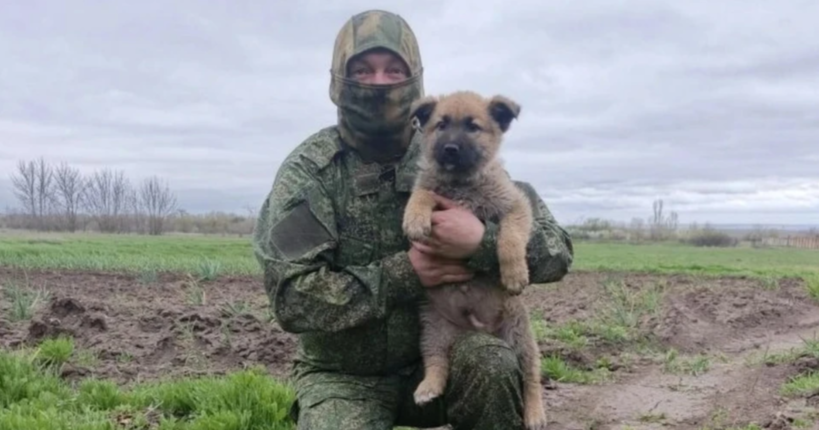 Учитель рисования из Новосибирской области отправился на СВО вслед за братом