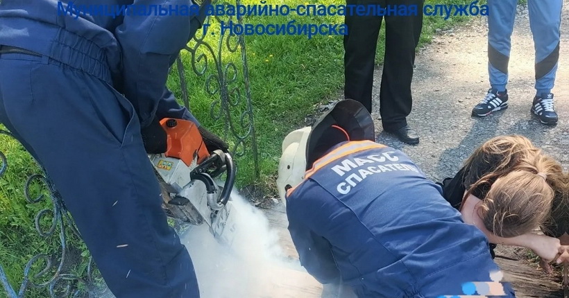 В Новосибирске спасатели помогли девочке, пострадавшей на аварийном мосту