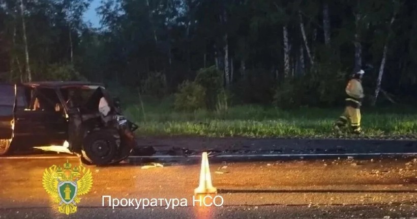 Расследование смертельного ДТП под Чулымом в Новосибирской области взято на контроль