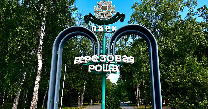 Настроение: берёзы