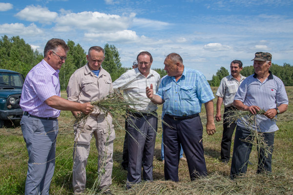 Погода венгеровский новосибирская область