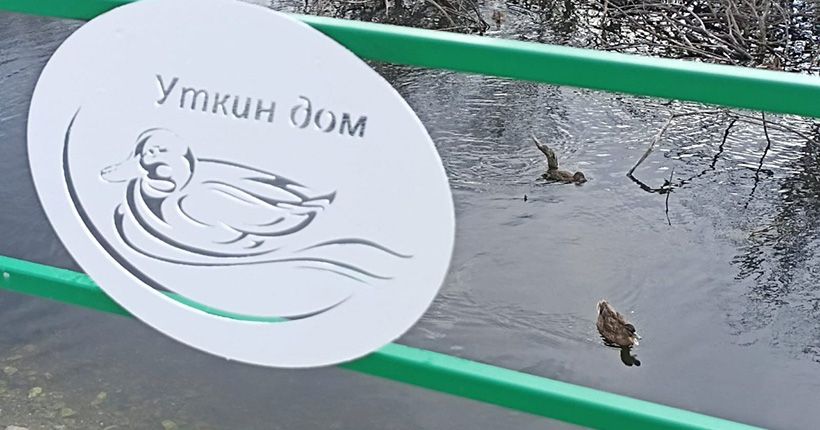 уткини двор