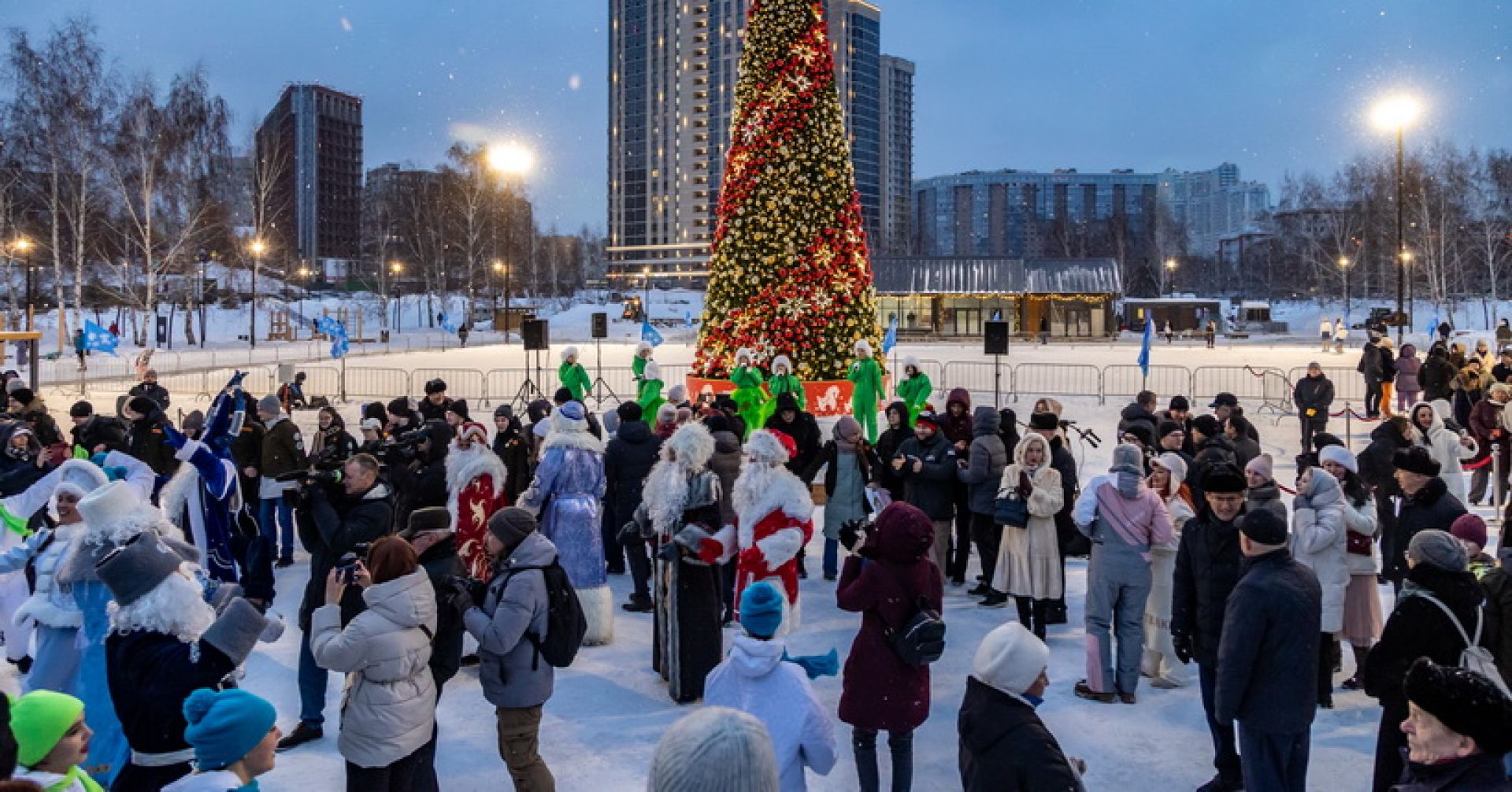 новогодняя ёлка в парке