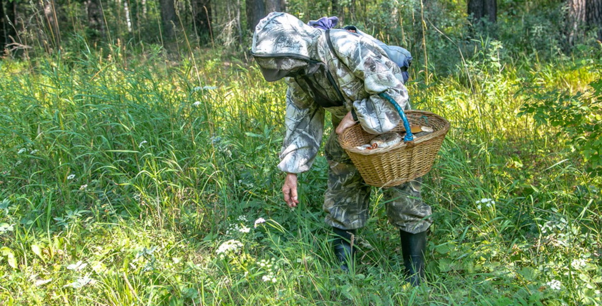грибник в лесу