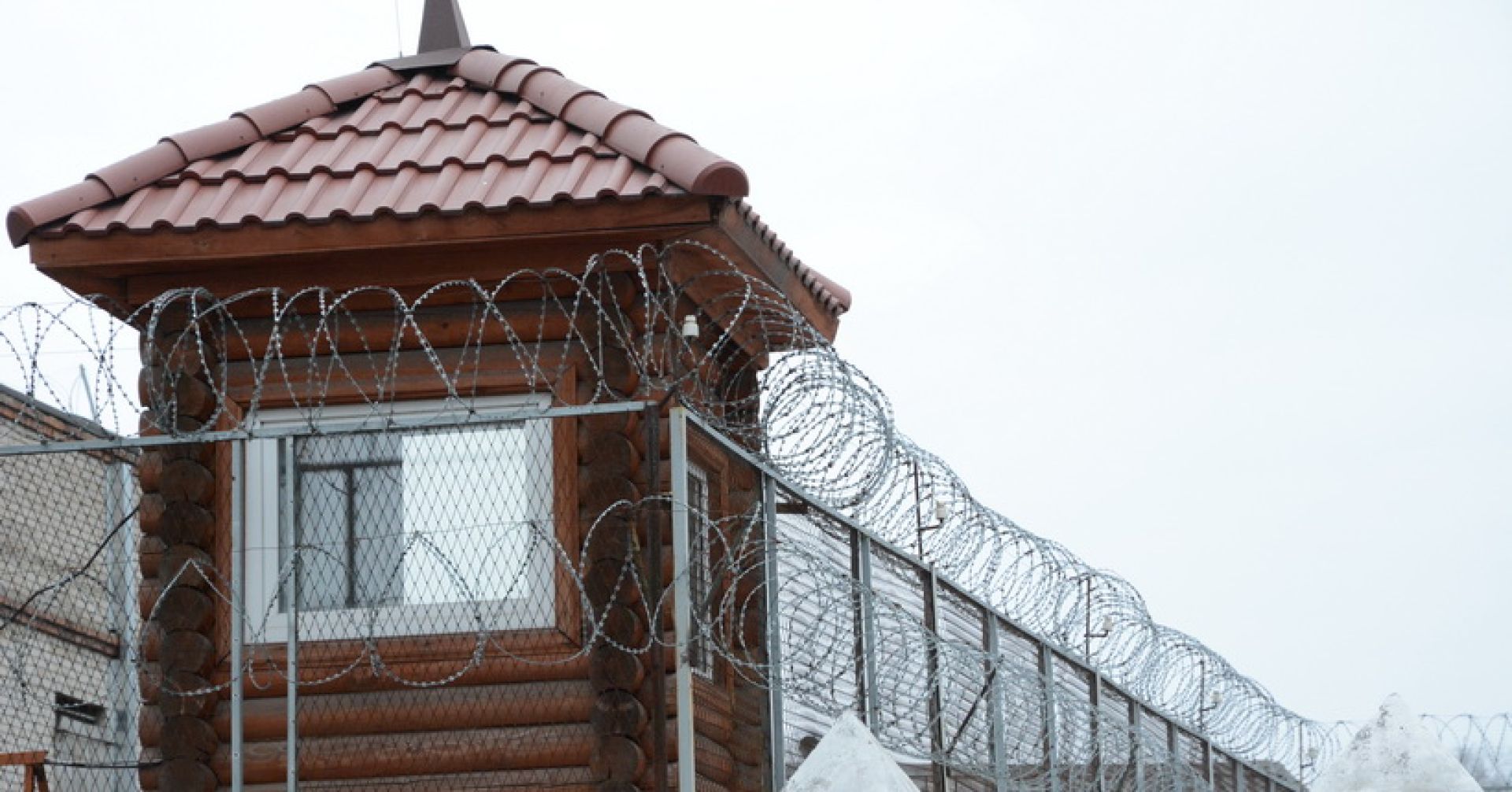 колония, колючая проволока