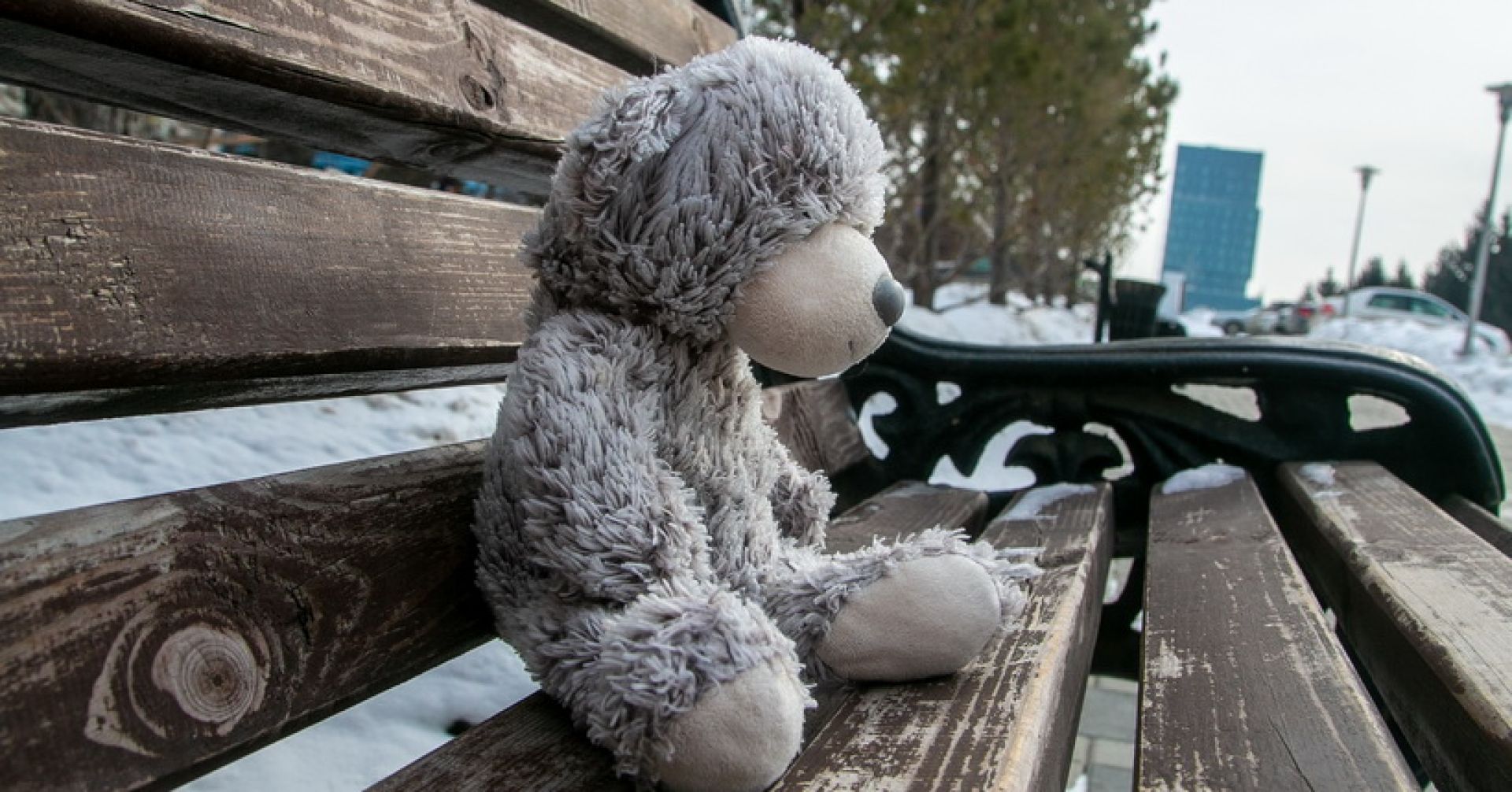 мишка на скамейке