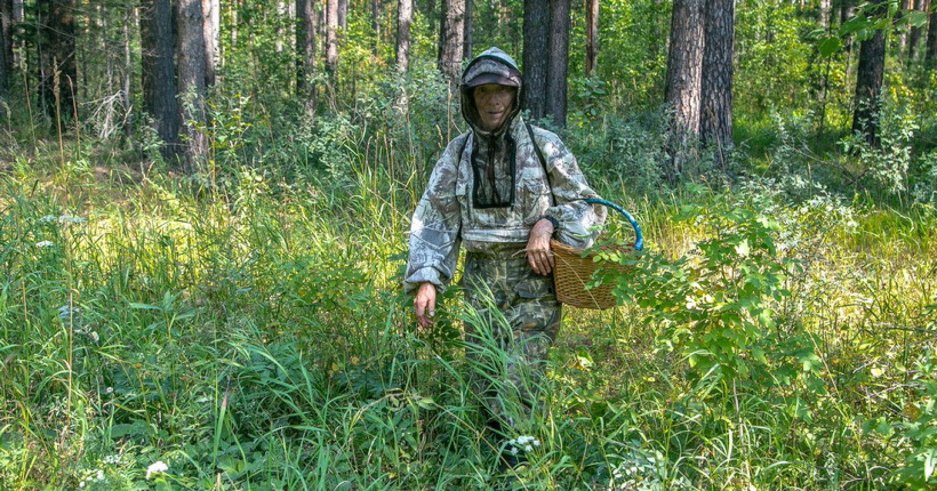 грибник в лесу