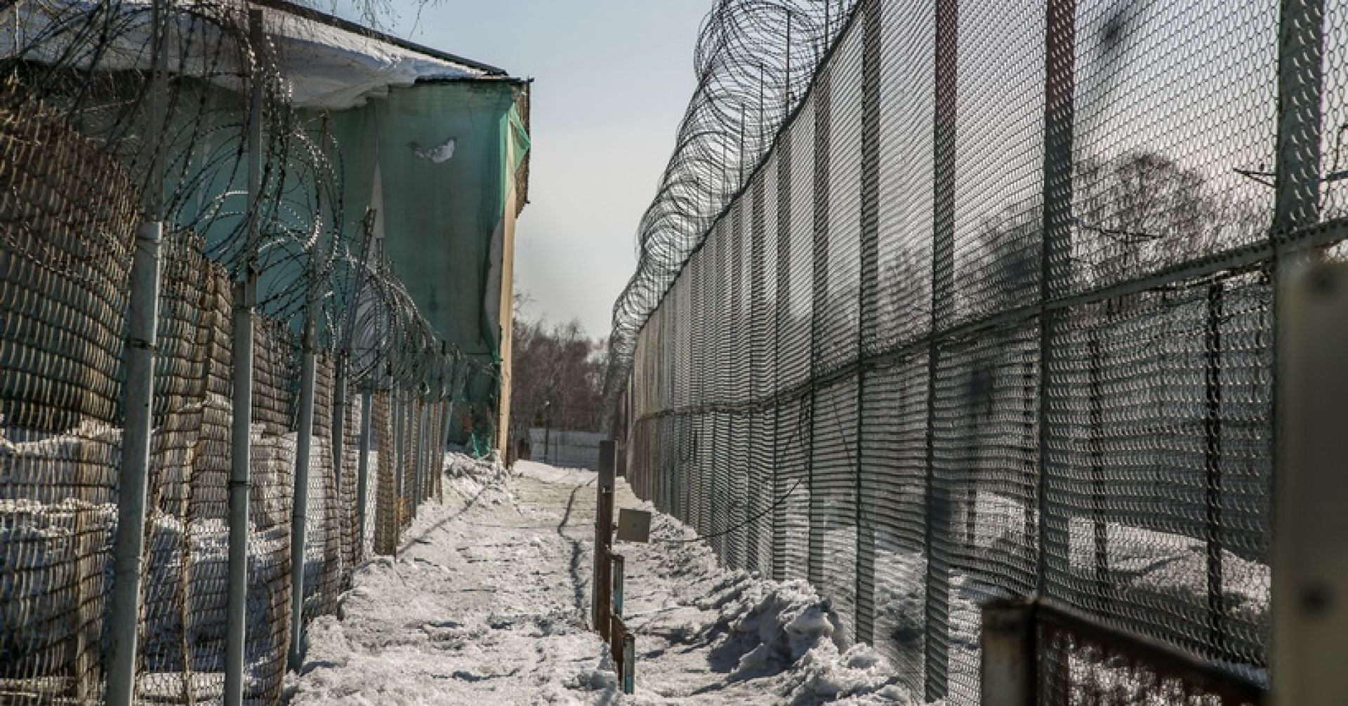 ограда колонии колючая проволока