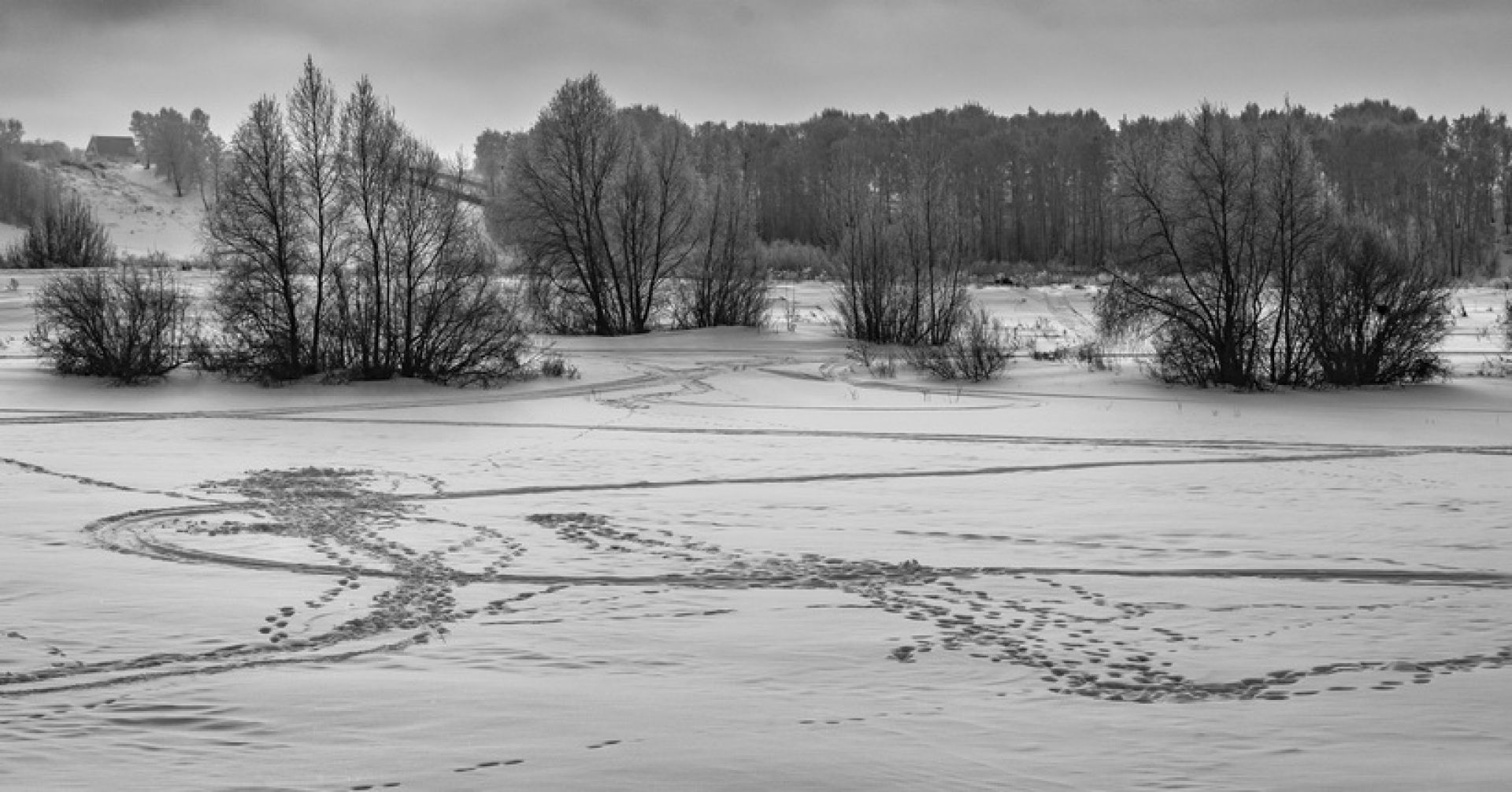 лёд на реке