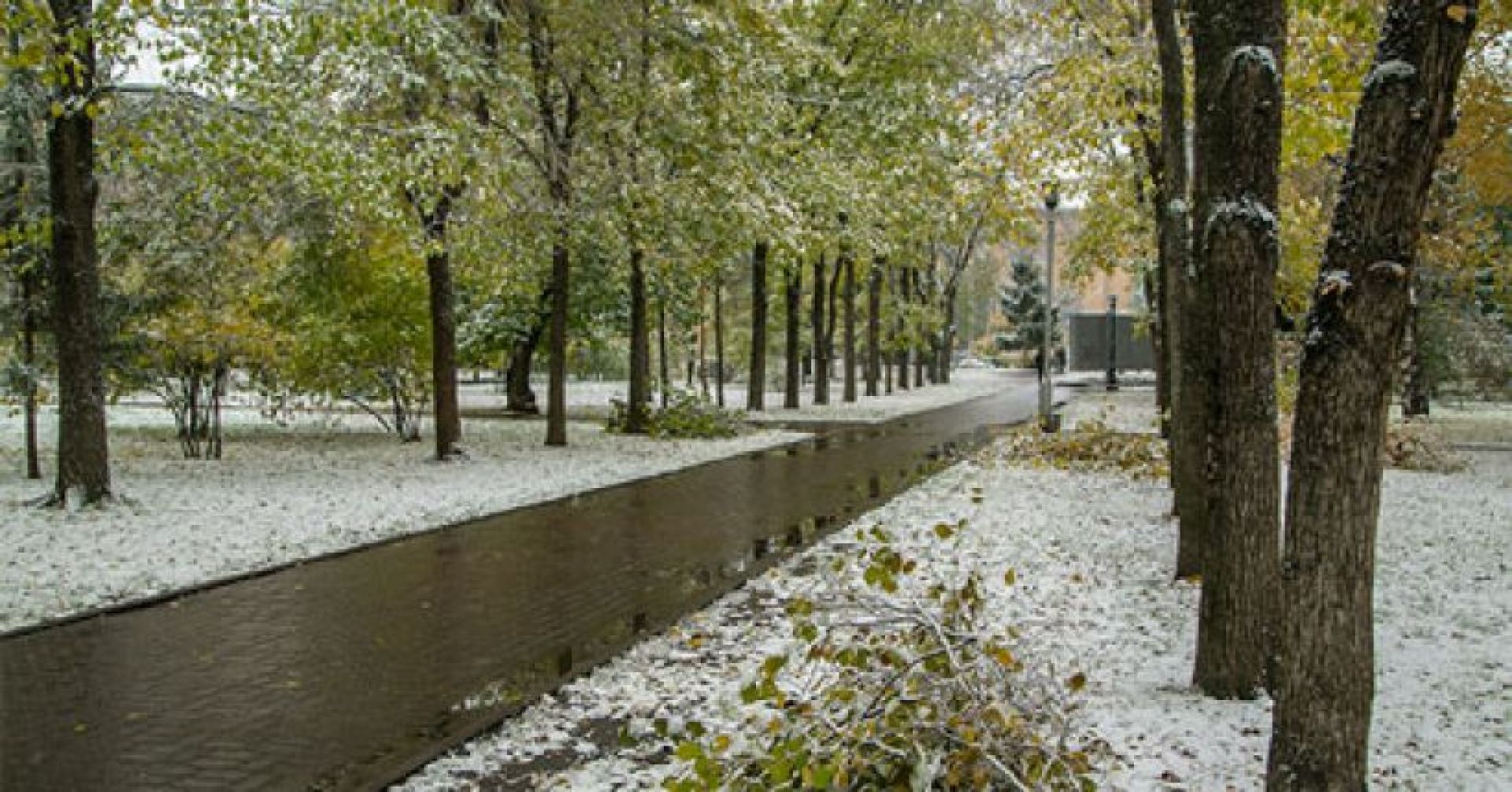 заснеженный парк