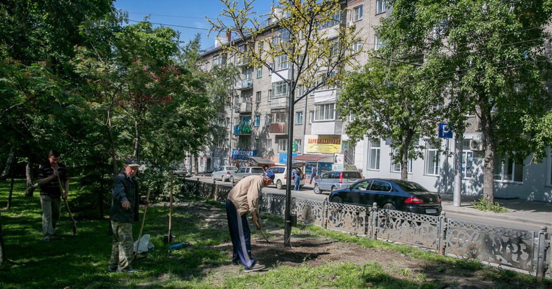 сквер, сажают деревья
