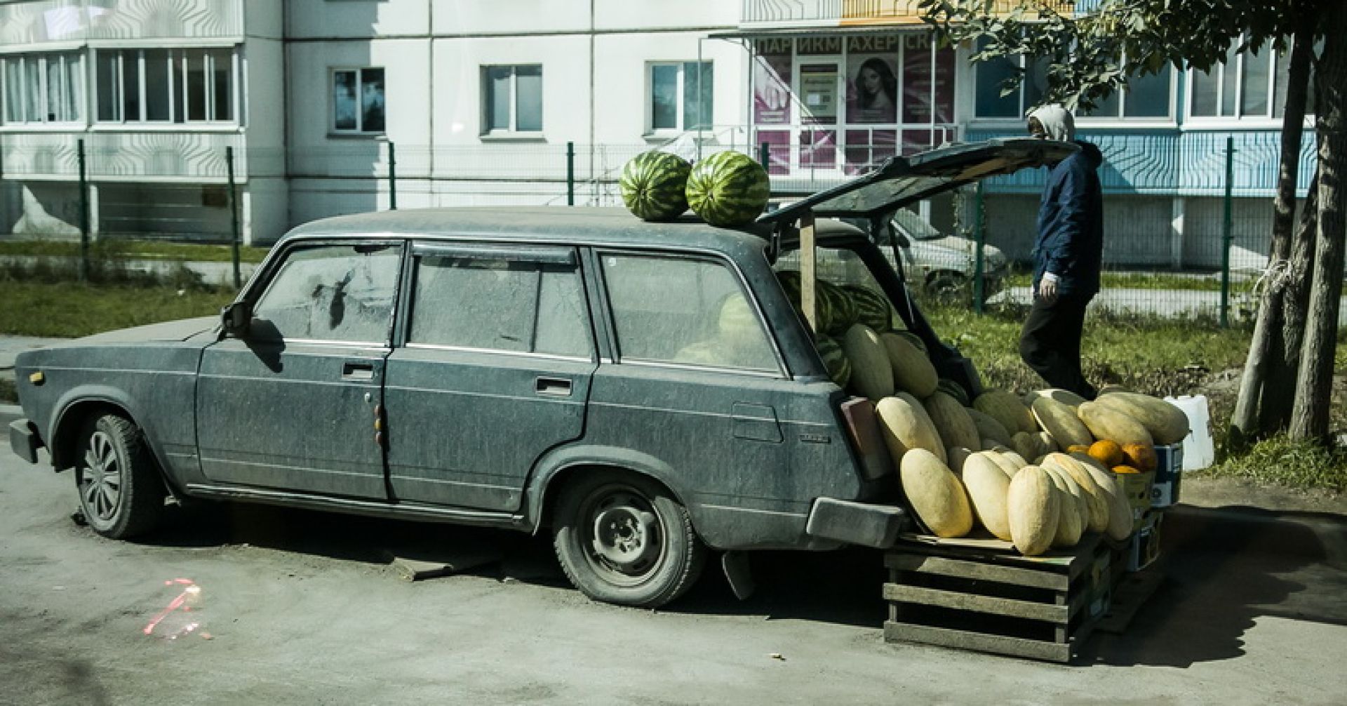 торговля дынями с машины