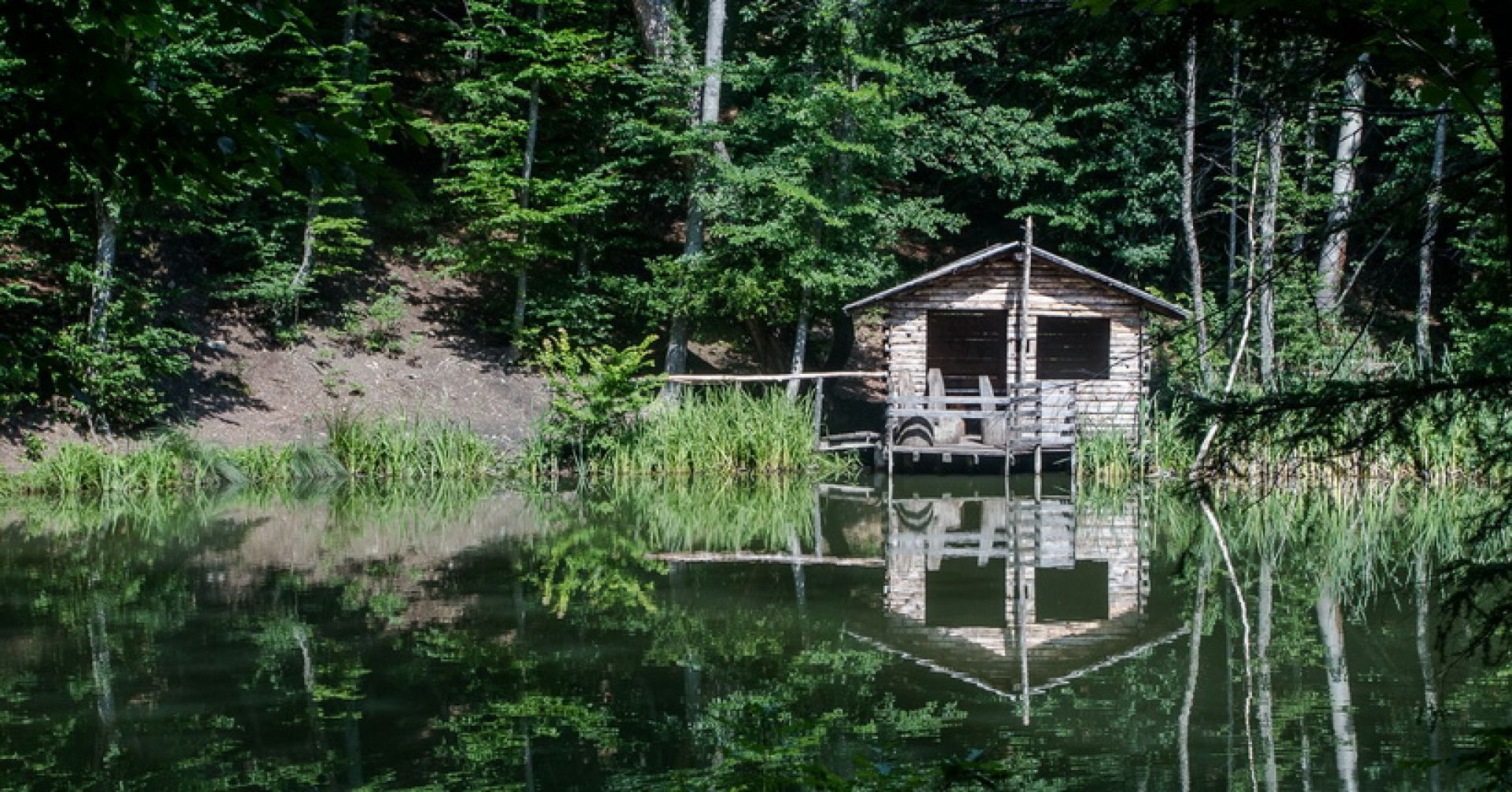 домик у озера